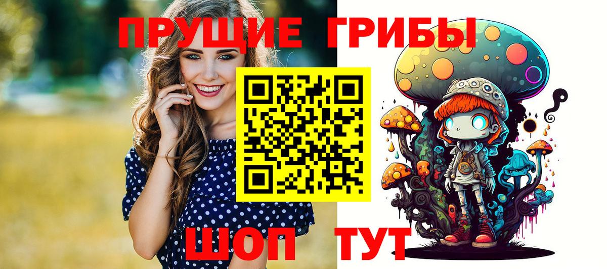 Галлюциногенные грибы ЛСД  Галлюциногенные грибы Magic Shrooms  Волхов  наркота  Вход с VPN 